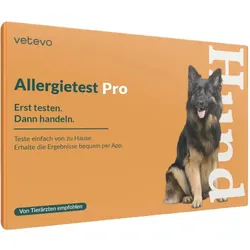 Allergietest Pro Hund 1 St