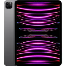 Apple iPad Pro 11" (4. Generation 2022) 256 GB Wi-Fi space grau
