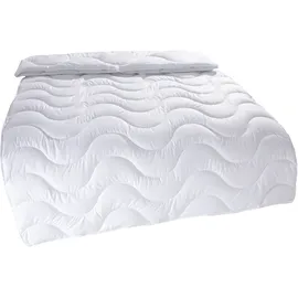 OTTO home Microfaserbettdecke Mailo Bettdecke 135x200 cm, 155x220 cm, Füllung: Polyester, Bezug: Microfaser-Feinbatist, Sommer, Winter, Decke, kuschelweicher Microfaser-Feinbatist Bezug weiß 135 cm x 200 cm