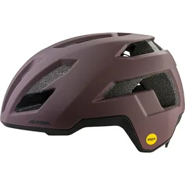 Alpina Taunus Gravel 55-59 cm Rennradhelm braun/beige 2021