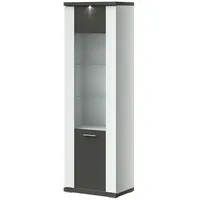 Uno Vitrine Titan ¦ grau ¦ Maße (cm): B: