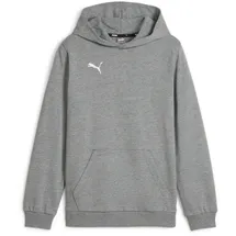 Puma teamGOAL Casuals Hoodie Jungen 33 medium gray heather/white 128