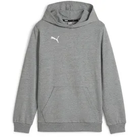 Puma teamGOAL Casuals Hoodie Jungen 33 medium gray heather/white 128
