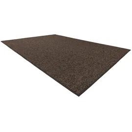 RugsX Teppichboden Superstar 888 Braun 200x300 cm