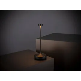 APS Nissrin Schwarz