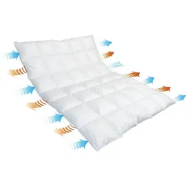 Traumina Breeze Daune Einziehdecke WK 2 (Größe: 135x200 cm)