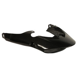 TRIUMPH Carbonteile Triumph Speed Triple 11-15