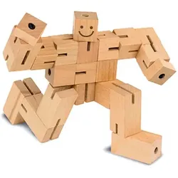 Fridolin IQ-Test Puzzle-Boy