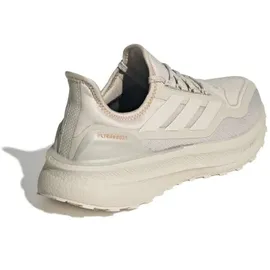 adidas Ultraboost 5 GTX Herren Beige/Alumina/Dusky Orange 42