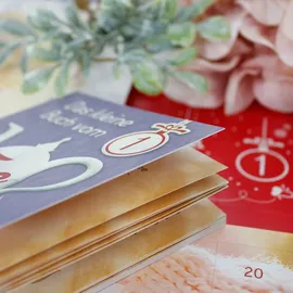 ROTH Bio-Tee Adventskalender für Zwei 2023