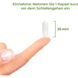 vitality nutritonals Tryptophan Hochdosiert Kapseln 120 St.