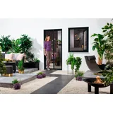hecht International Insektenschutz-Tür SMART 125 x 220 cm Grau