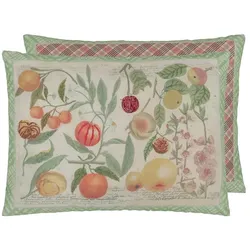 Oranges Canvas