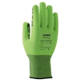 Uvex C500 dry 6049910 Schnittschutzhandschuh Größe (Handschuhe): 10 EN 388 1 Paar