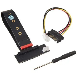 DeLock 64135 M.2 Controller U.2 SFF-8639 NVMe Adapter gewinkelt mit 20 cm Kabel