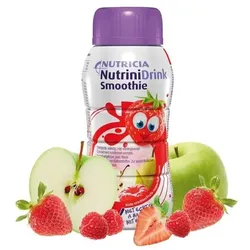Nutrinidrink Smoothie rote Früchte