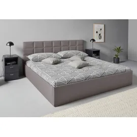 Westfalia Schlafkomfort Polsterbett, grau, B:208cm L:210cm, WESTFALIA SCHLAFKOMFORT, Betten, Polsterbett, inkl. Bettkasten bei Ausführung mit Matratze, in 2 Höhen, Topseller