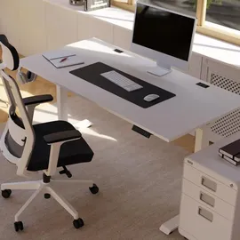 Yaasa Schreibtisch Desk Essential 120 x 80 cm Weiß/Weiß