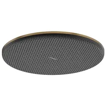 Hansgrohe Raindance Alive S Kopfbrause, 1 Strahlart, brushed bronze