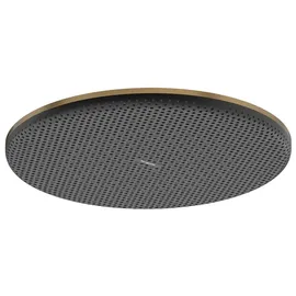 Hansgrohe Raindance Alive S Kopfbrause, 1 Strahlart, brushed bronze