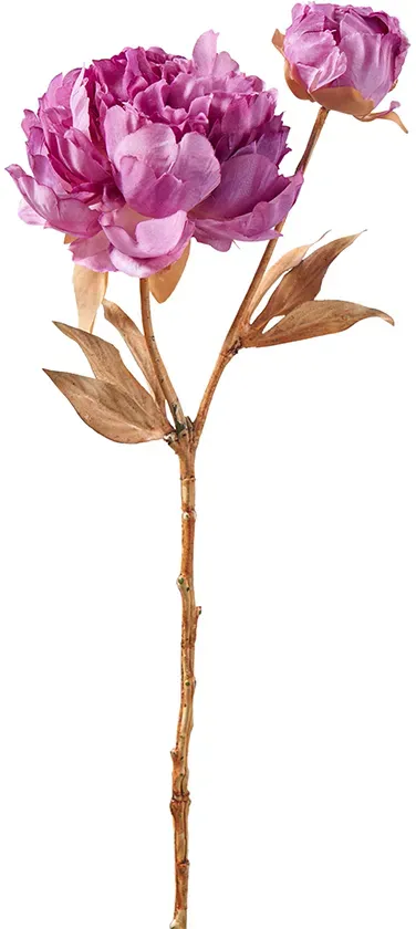 Päonien Zweig x2 56cm purple
