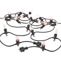 Lunartec 2er-Set Deko-Lichterketten, 10 Glühbirnen in Flammen-Optik, IP44, 4,2m