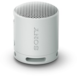 Sony SRS-XB100 grau