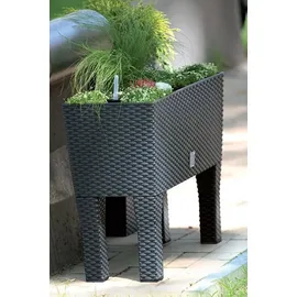 Prosperplast Rato Case High 80 x 33 x 62 cm anthrazit