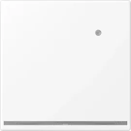 Jung LED-Orientierungslicht LS 1539-O WWM LNW