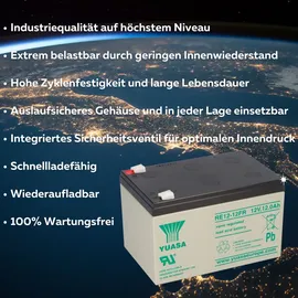 YUASA RE12-12FR 12V 12Ah 6-9 Jahresbatterie, Faston 6,3