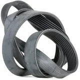 Continental Keilrippenriemen