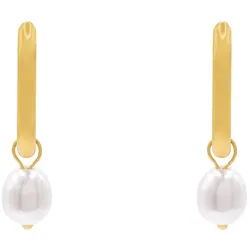Heideman Ohrschmuck Jenna Ohrringe   Damen 
