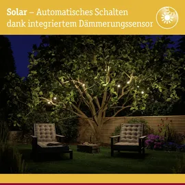 Paulmann Solar-Lichterkette Aurinka 8 m 60 LED warmweiß