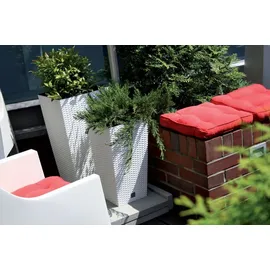 Prosperplast Rato Square 33 x 33 x 61 cm anthrazit