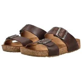 HAFLINGER Bio Andrea Braun 40