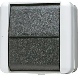Jung Wippschalter Kreuz 807 W