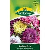 Quedlinburger Krallenaster ''Mischung''