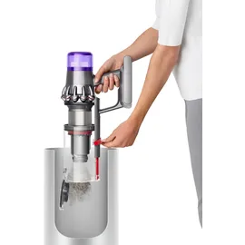 Dyson V11 Fluffy nickel/rot