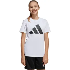 adidas Essentials Big Logo Set Trainingsanzug Schwarz/Weiß 152