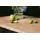 Niehoff Solid Gartentisch 240 x 95 x 76 cm Edelstahl/Weiß