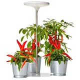 NORTHPOINT LED Pflanzenleuchte Pflanzenlicht Pflanzenlampe 14W mit Teleskopstab und Standfuß 4000K Lichtfarbe