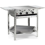 Edelstahl-Brenner Gasgrill Gasbräter stationär 3-flammig 11kW BBQ Neu K3STAP