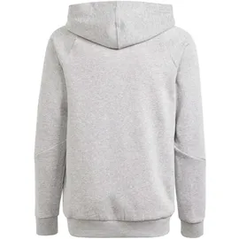 adidas Tiro 24 Hoodie Grau/Weiß 140