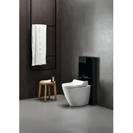 Geberit AquaClean (146310SJ1)