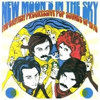 New Moon's In The Sky ~ The British Progressive P: CD von Various