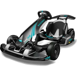 NINEBOT GoKart PRO 2 by Segway E-Board (3 Zoll, Grau)