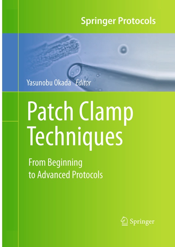 Patch Clamp Techniques, Kartoniert (TB)