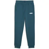 Puma ESS+ 2 Col Logo Pants FL Cl B Strickhose