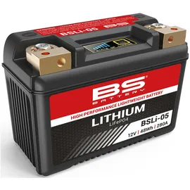 BS Battery BS-Battery LiFePO4 Batterie wartungsfrei