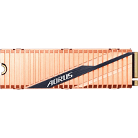 Gigabyte Aorus 1 TB M.2 GP-ASM2NE6100TTTD